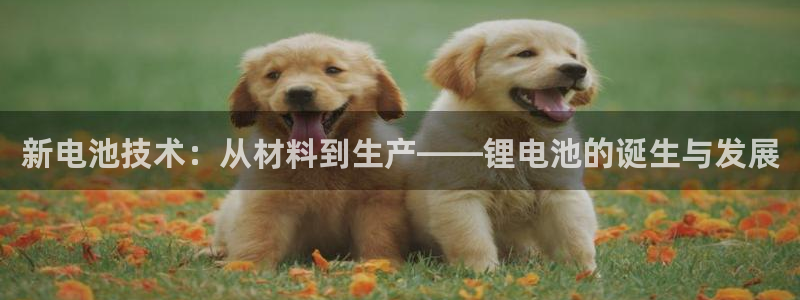 TP钱包取消授权取消不了