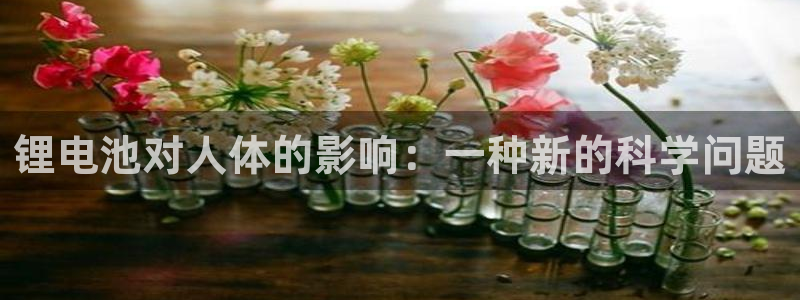 下载tp tp