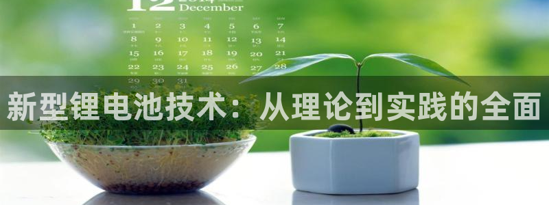 TP钱包app没办法使用