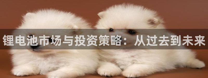tp钱包app下载官网