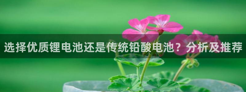 tp钱包如何查看资金池