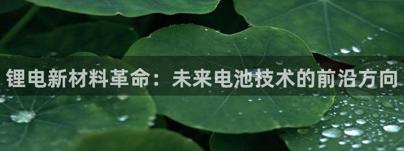 tp钱包怎么币币交易