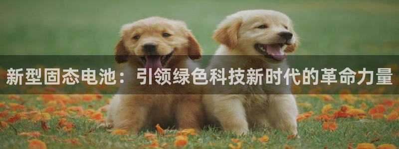 bnb提到tp钱包