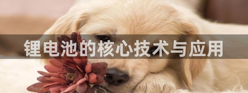 tp钱包授权数量
