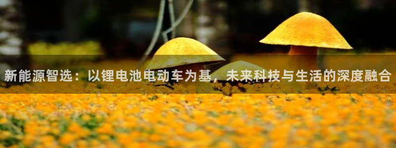 tp钱包被盗如何追回