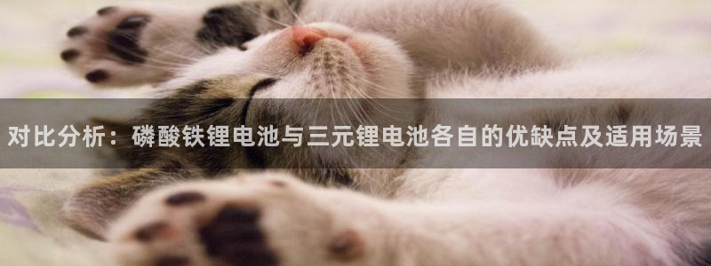 tp钱包怎么添加合约地址