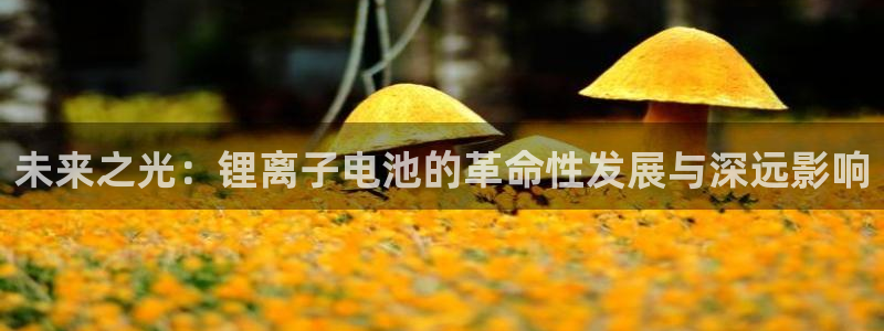 tp钱包钱不动了