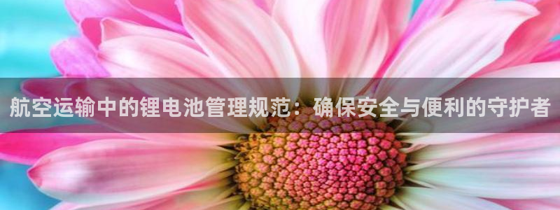 tp钱包怎么买trx：航空运输中的锂电池