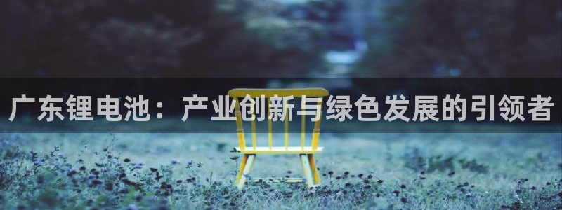 TP钱包下载之后总提示卸载：广东锂电池：