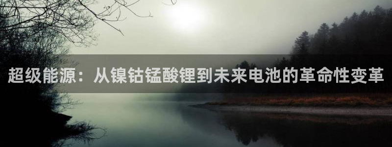tp钱包如何转账usdt：超级能源：从镍